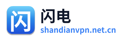 闪电VPN Logo